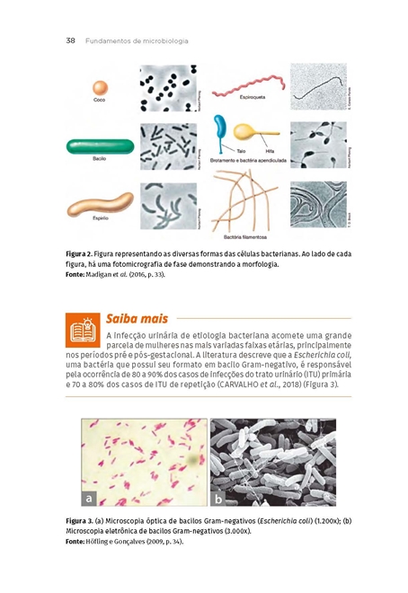 Engenharia Bioquímica