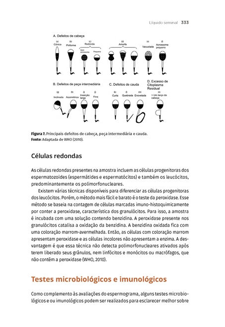 Bioquímica Clínica