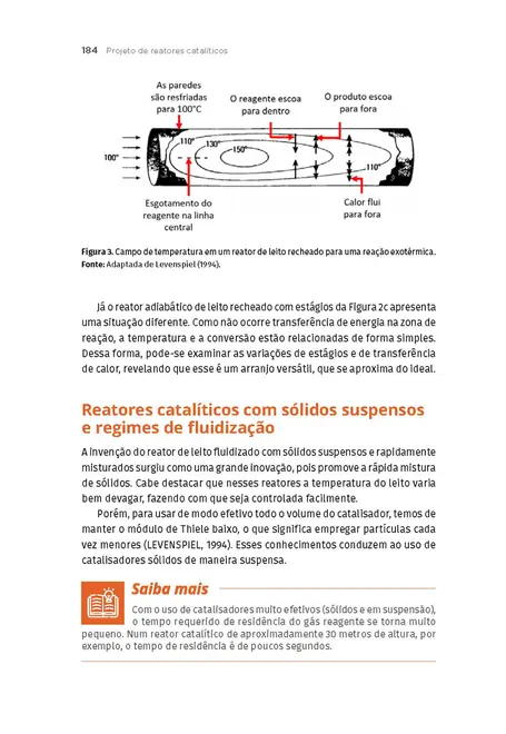 Cinética e Projeto de Reatores Heterogêneos