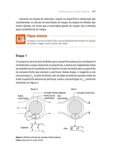 Cinética e Projeto de Reatores Heterogêneos