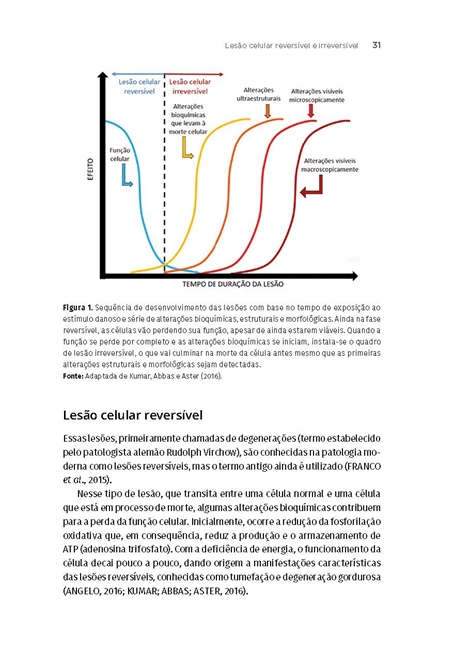 Processos Patológicos