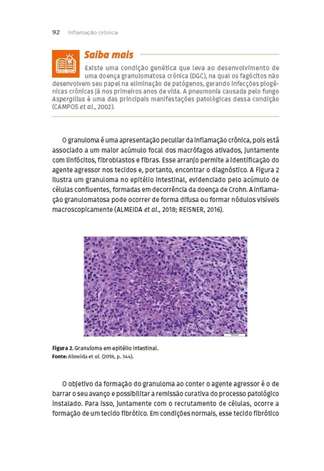 Processos Patológicos