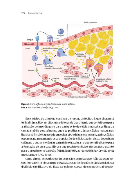 Processos Patológicos