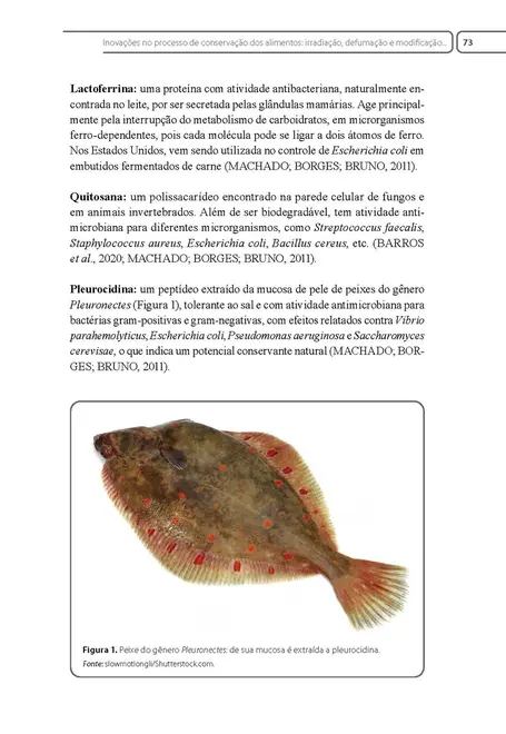 Inovação e Tecnologia em Alimentação