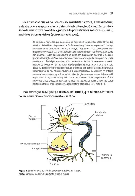 Neurociência Aplicada ao Marketing