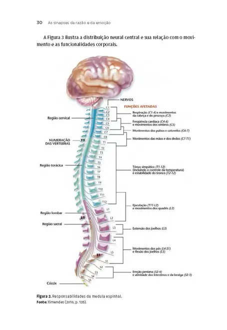 Neurociência Aplicada ao Marketing