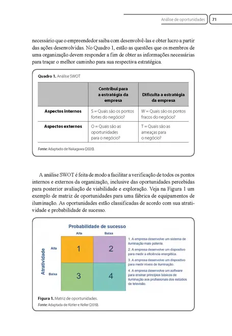 Identificação e Análise de Oportunidades Nacionais e Internacionais