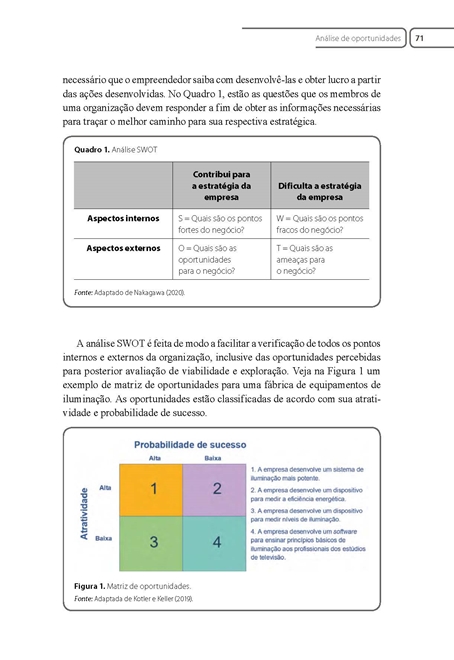 Identificação e Análise de Oportunidades Nacionais e Internacionais