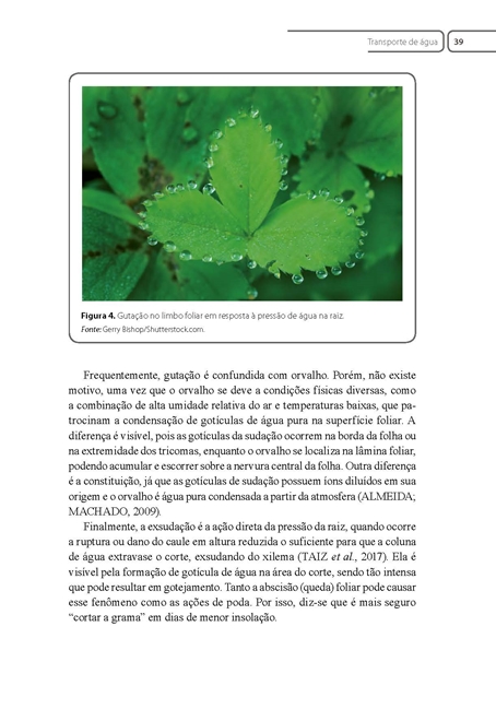 Fisiologia Vegetal