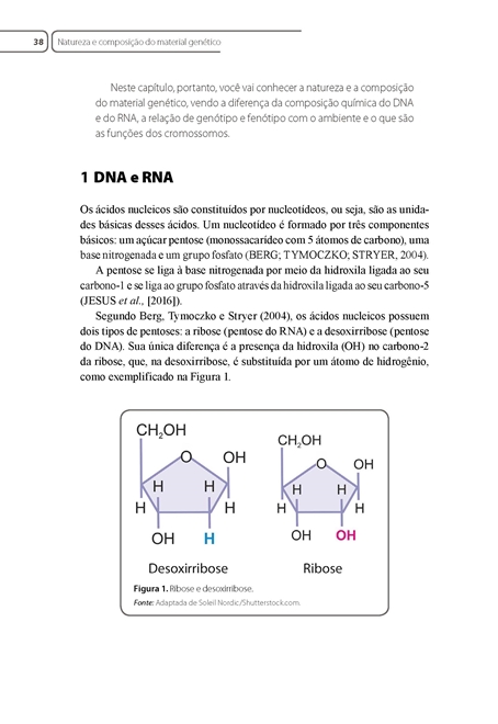 Genética