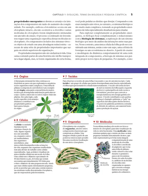 Biologia de Campbell