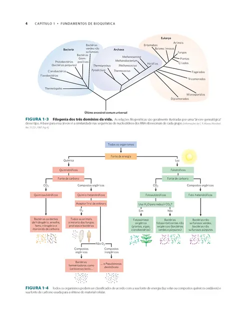 Princípios de Bioquímica de Lehninger