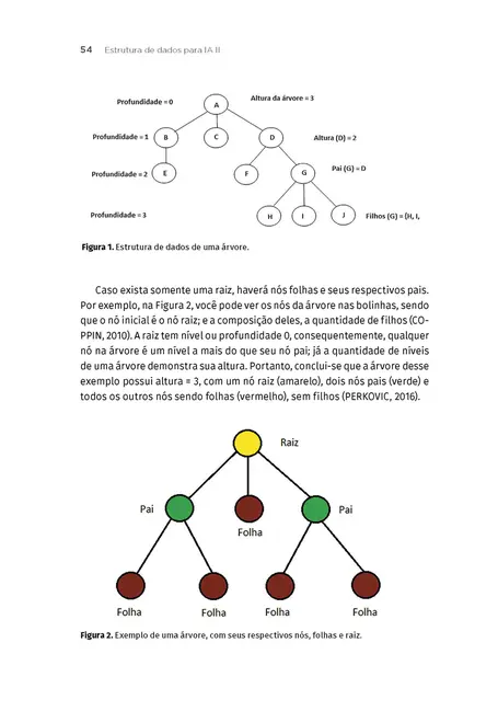 Teoria dos grafos e análise de algoritmos