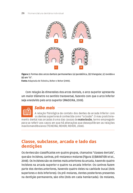 Anatomia e Escultura Dental