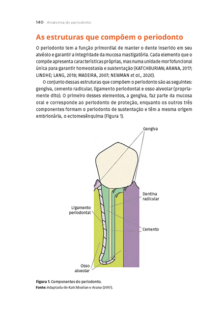 Anatomia e Escultura Dental