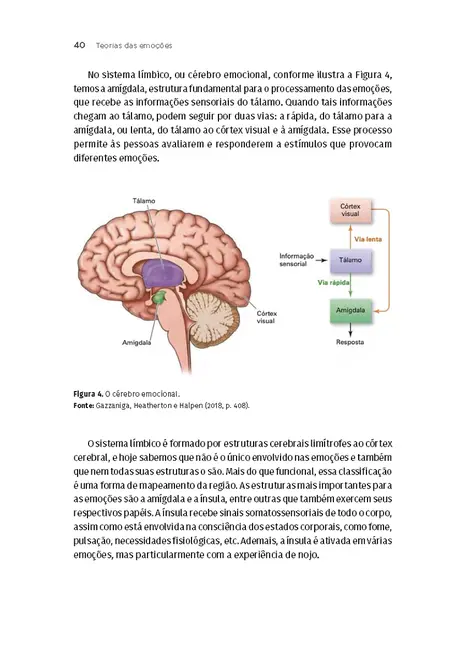 Processos Psicológicos II