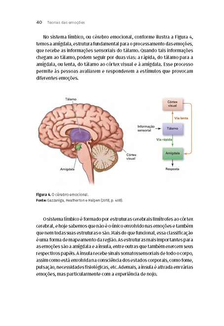 Processos Psicológicos II