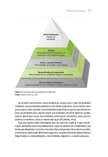 Processos Psicológicos II