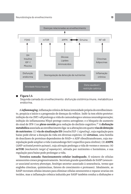 Psicogeriatria