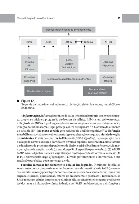 Psicogeriatria