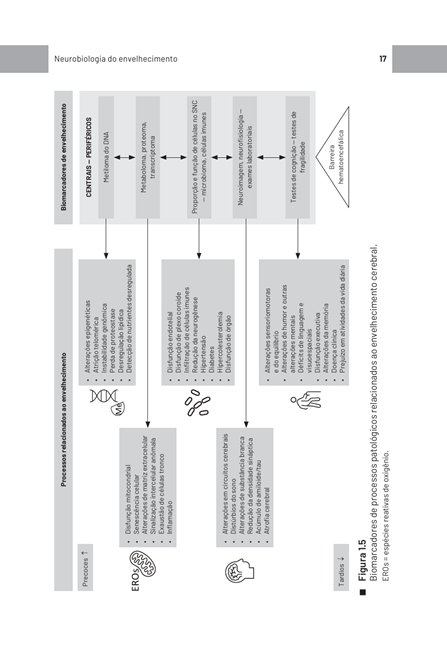 Psicogeriatria