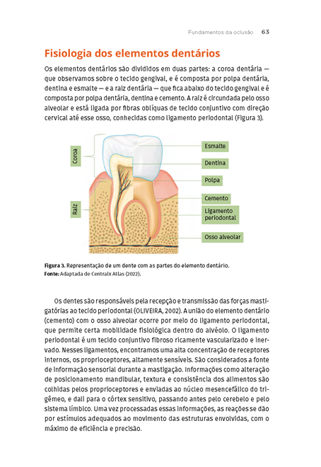 Fisiologia da Oclusão