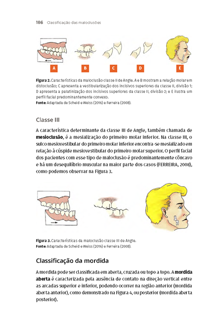 Fisiologia da Oclusão