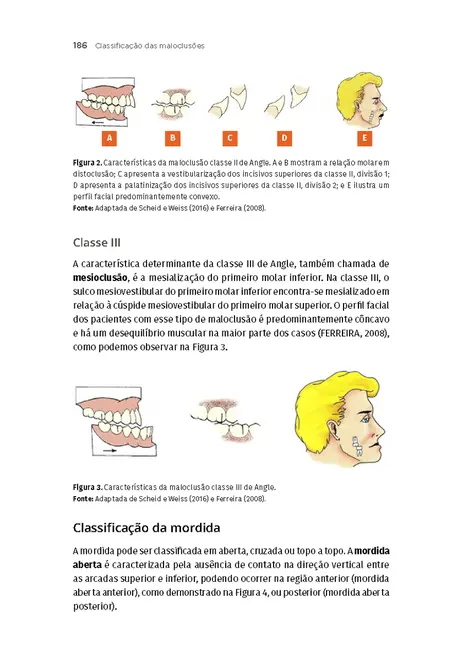 Fisiologia da Oclusão