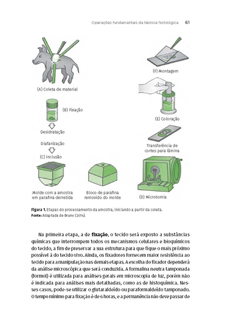 Histotecnologia Clínica