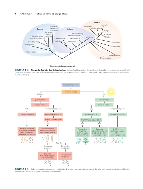 Princípios de Bioquímica de Lehninger