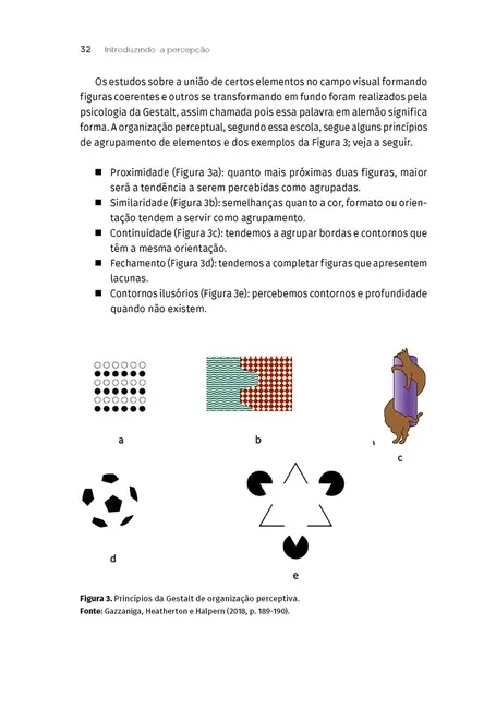 Processos Psicológicos Básicos