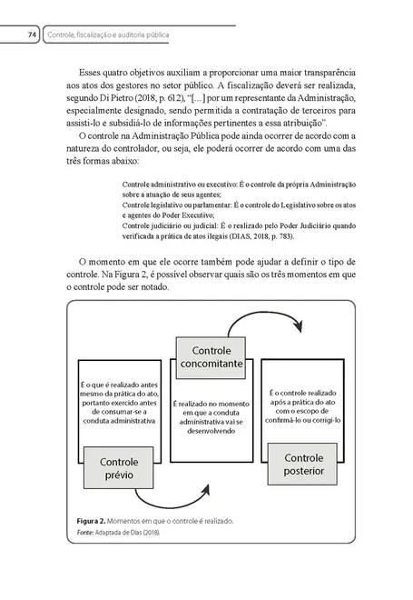 Auditoria no Setor Público