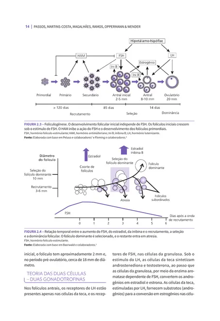 Rotinas em ginecologia