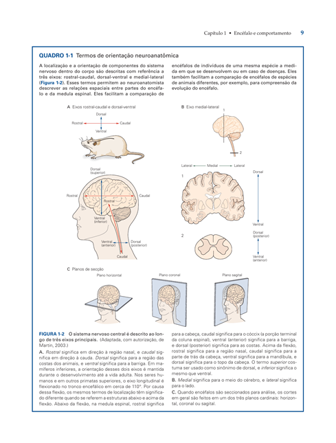 Princípios de Neurociências