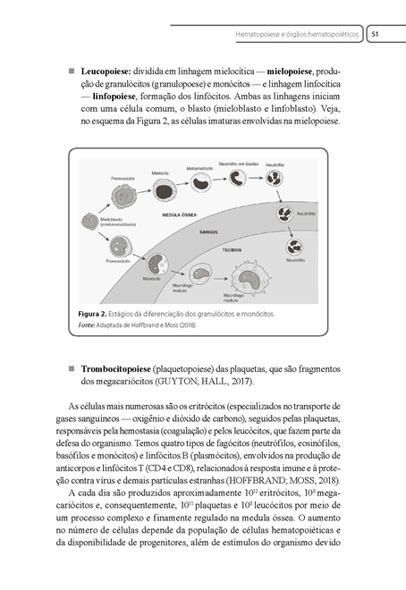 Hematologia Básica