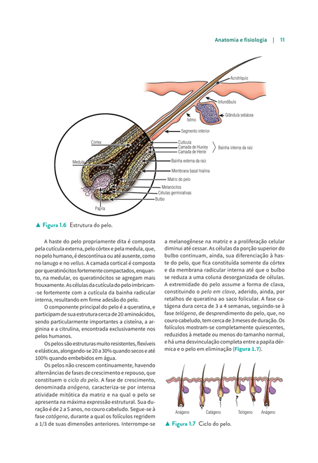 Manual de Dermatologia Clínica de Sampaio e Rivitti