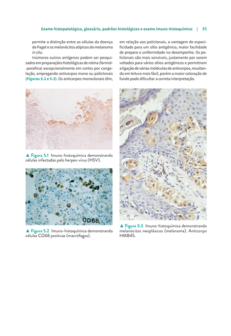 Manual de Dermatologia Clínica de Sampaio e Rivitti