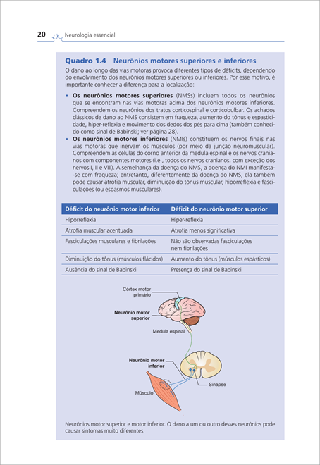 Neurologia Essencial