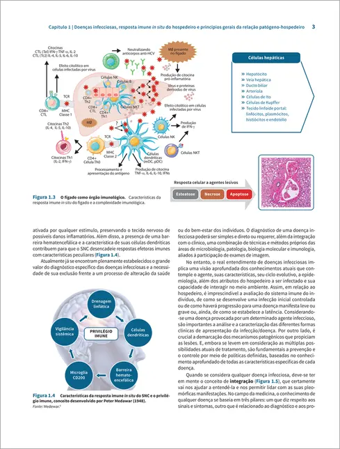 Doenças Infecciosas