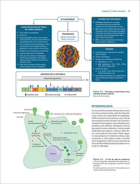 Doenças Infecciosas