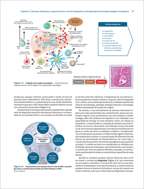 Doenças Infecciosas