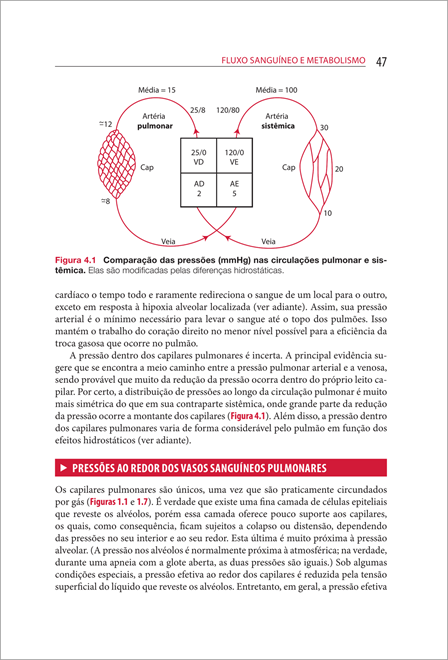 Fisiologia Respiratória de West