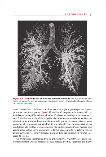 Fisiologia Respiratória de West