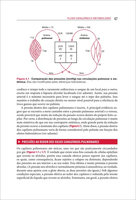 Fisiologia Respiratória de West
