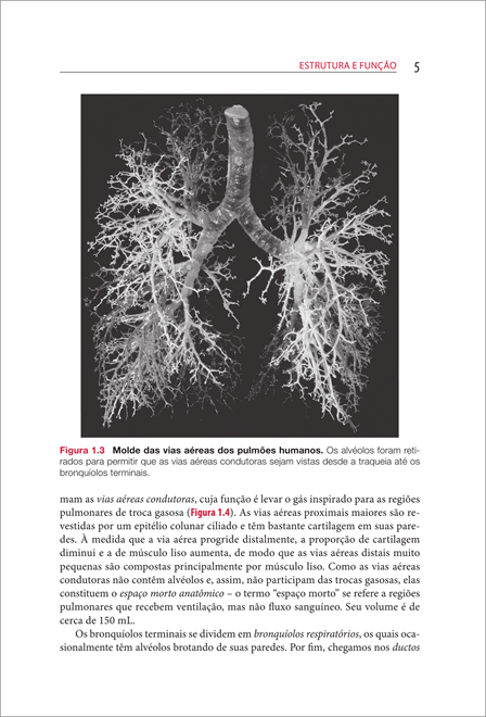 Fisiologia Respiratória de West