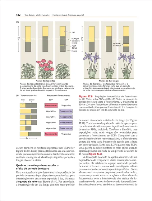 Fisiologia e Desenvolvimento Vegetal 7ed.