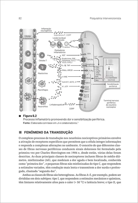 Psiquiatria Intervencionista