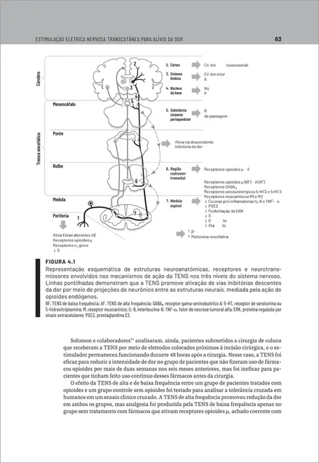 Agentes Eletrofísicos na Fisioterapia Traumato-Ortopédica