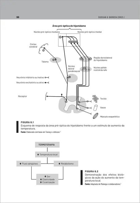 Agentes Eletrofísicos na Fisioterapia Traumato-Ortopédica