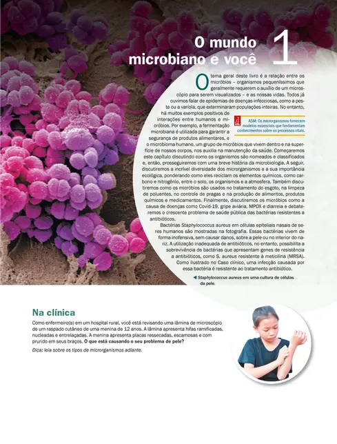 Microbiologia